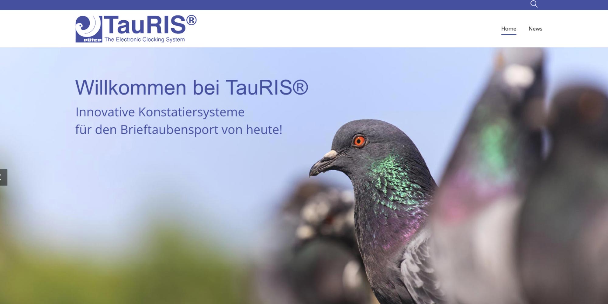 TauRIS Homepage